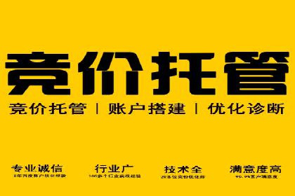 百度竞价代理的运营策略与成功案例分析